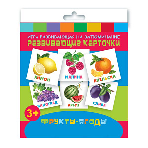 обучающие карточки фрукты-ягоды  110*110мм 12шт. 47691 /фен