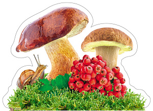 мини-плакат фигурный грибы и рябина 200*200 10-10.02-0020 /miland