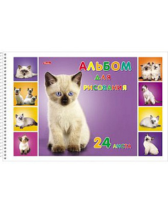 альбом 24л для рисования на спирали /hatber котята. мко, листы с перфорацией 24а4всп изображение альбом 24л для рисования на спирали /hatber котята. мко, листы с перфорацией 24а4всп