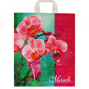 пакет с ручками, петля 40*42, чудо 45мкм /инт изображение пакет с ручками, петля 40*42, чудо 45мкм /инт фото