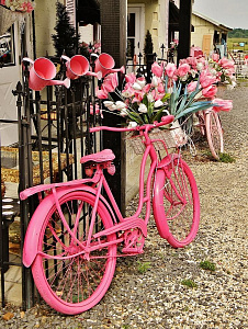 набор для раскраска по номерам 40*50 в розовом цвете mca1906 /paintboy