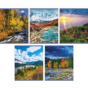 тетрадь 48л клетка государственная символика, блок 2, обл. хромэрзац, 489039 /эксмо изображение тетрадь 48л клетка государственная символика, блок 2, обл. хромэрзац, 489039 /эксмо